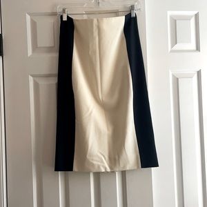 NWOT Jcrew Color Blocked Pencil Skirt
